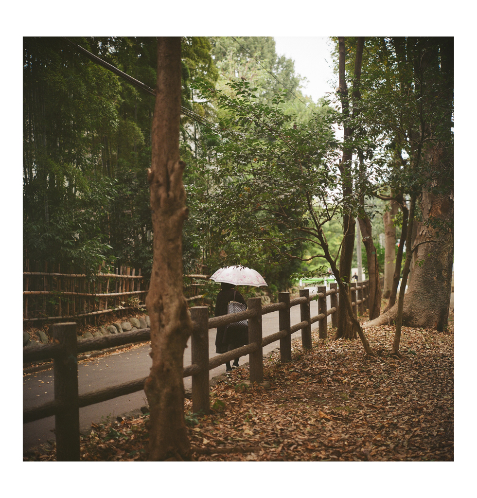 Photowalk