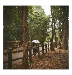 Photowalk