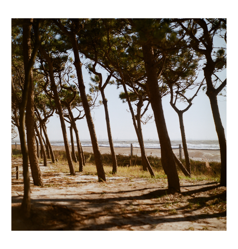 Photowalk