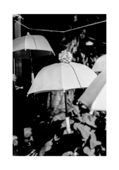 Photowalk