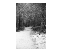 Photowalk