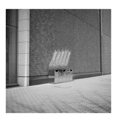 Photowalk