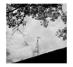 Photowalk