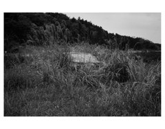 Photowalk