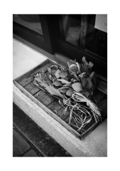 Photowalk