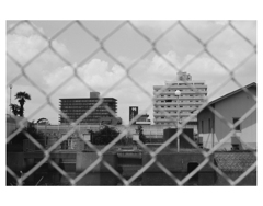 Photowalk