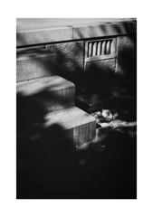 Photowalk