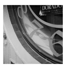 Photowalk