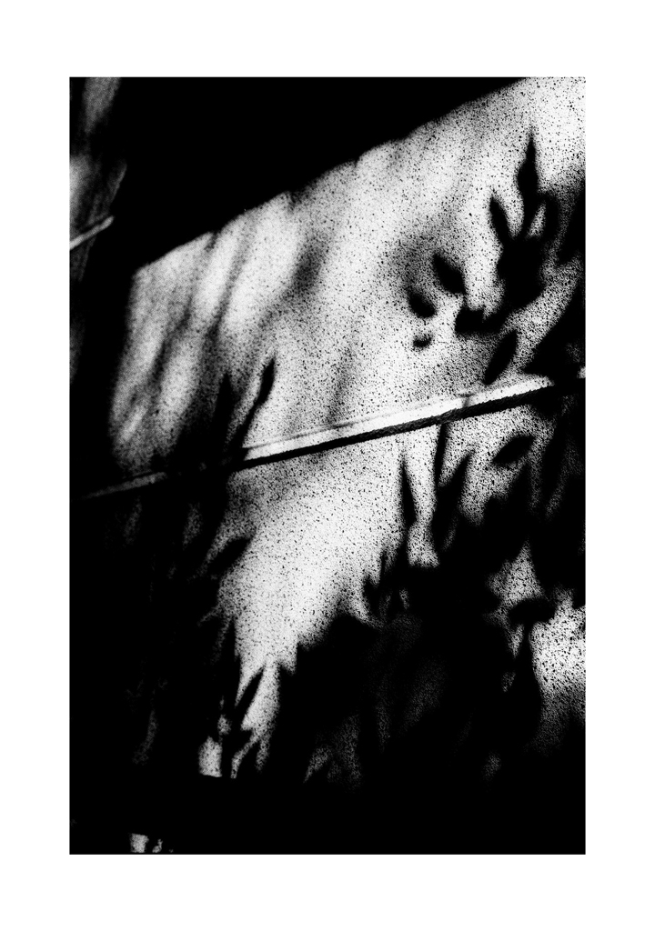 Photowalk