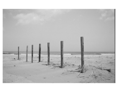 Photowalk