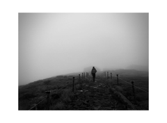 Photowalk