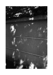 Photowalk
