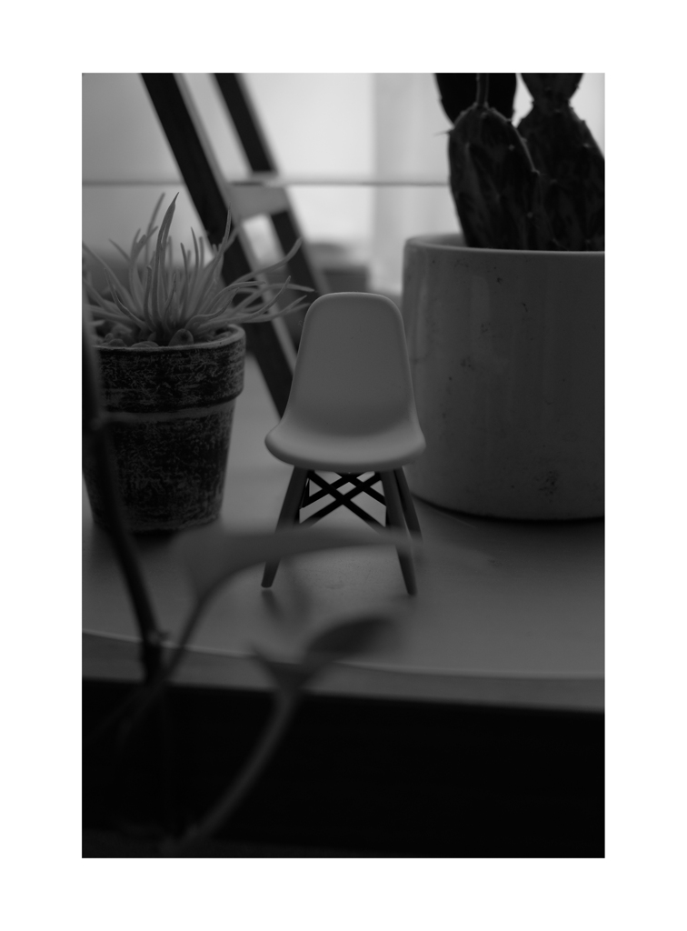 Photowalk