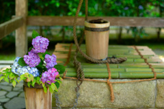 古井戸と紫陽花