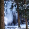 静寂の中に響く雪音