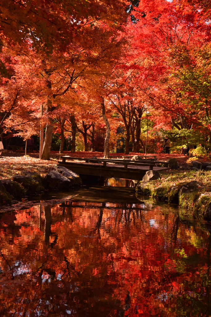 紅の中