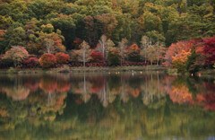 秋色の湖面