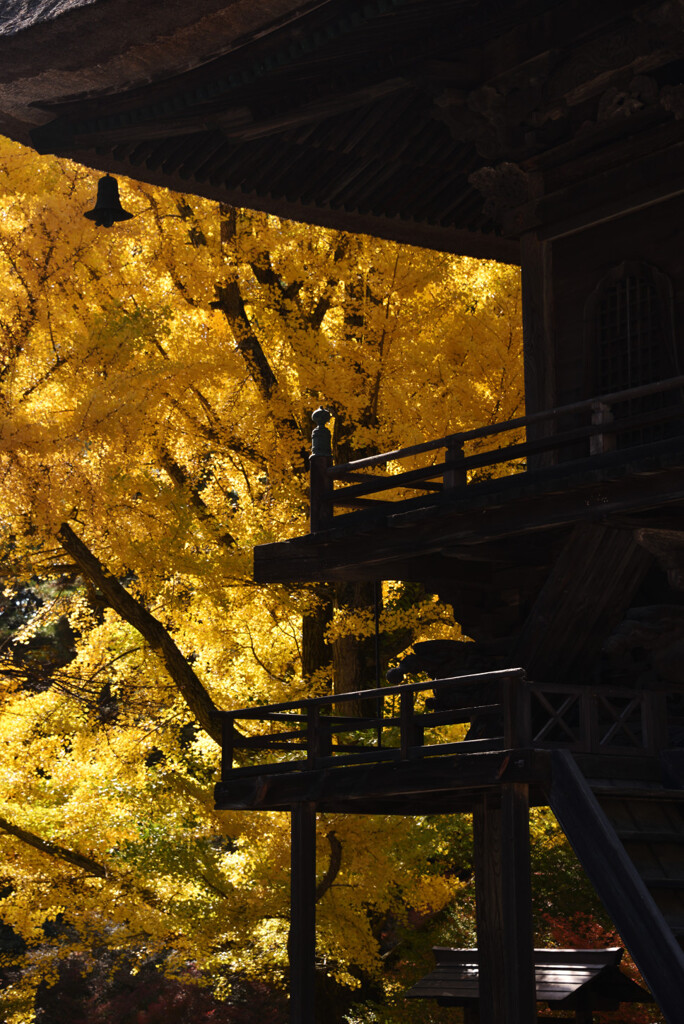 山門の秋