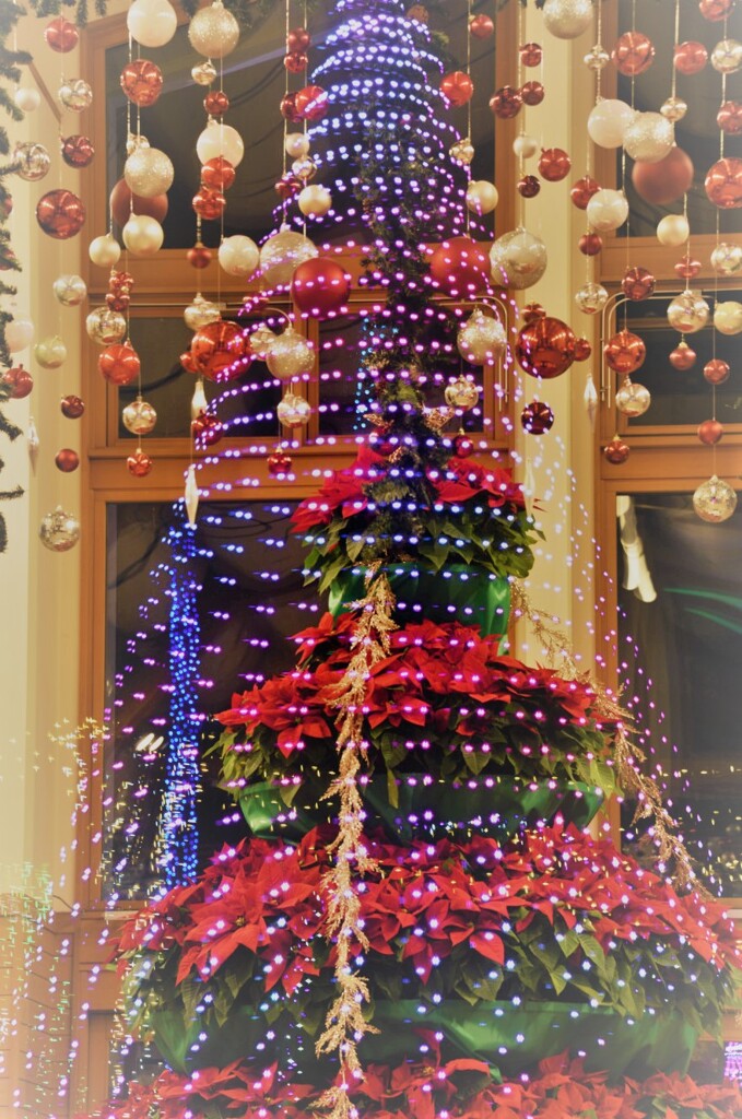 クリスマス「ツリー2」