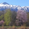 春の訪れ-岩手山-