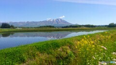 田植えの頃-岩手山･田鏡-
