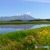 田植えの頃-岩手山･田鏡-