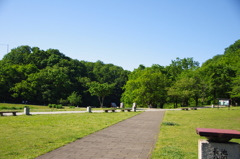 長池公園散策