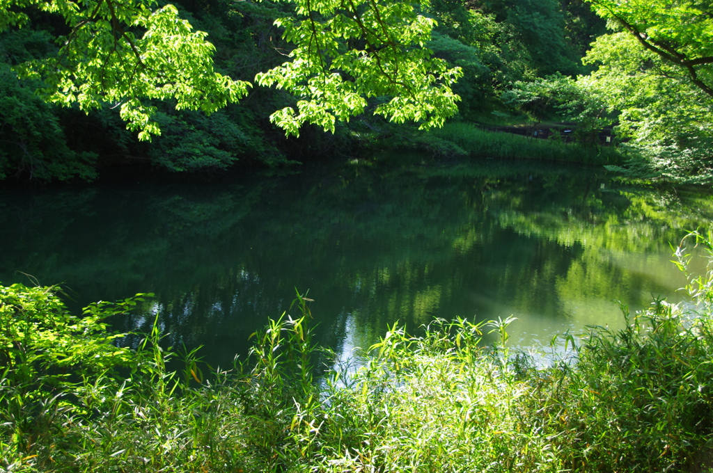 長池公園散策