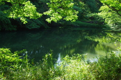 長池公園散策