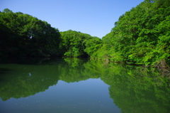 長池公園散策