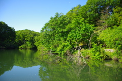 長池公園にて