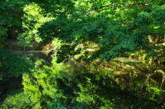 長池公園散策