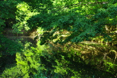 長池公園散策