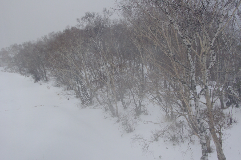 長野　雪景色