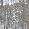 長野　雪景色