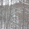 長野　雪景色