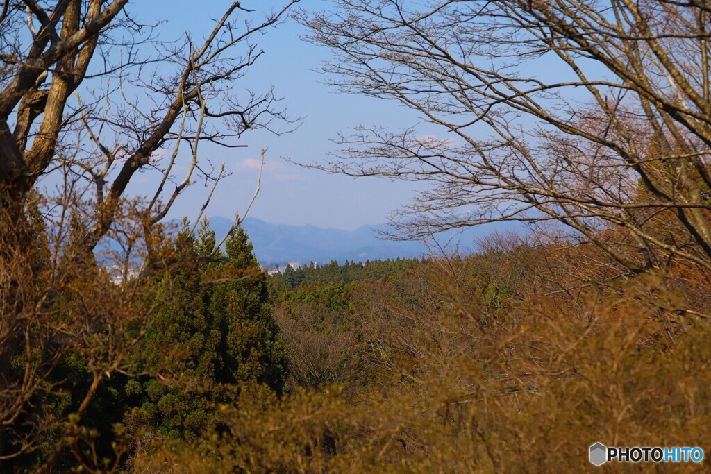 里山