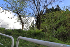 坂道
