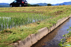 農業水路