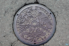 地元のマンホール