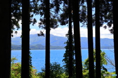 林から望む田沢湖