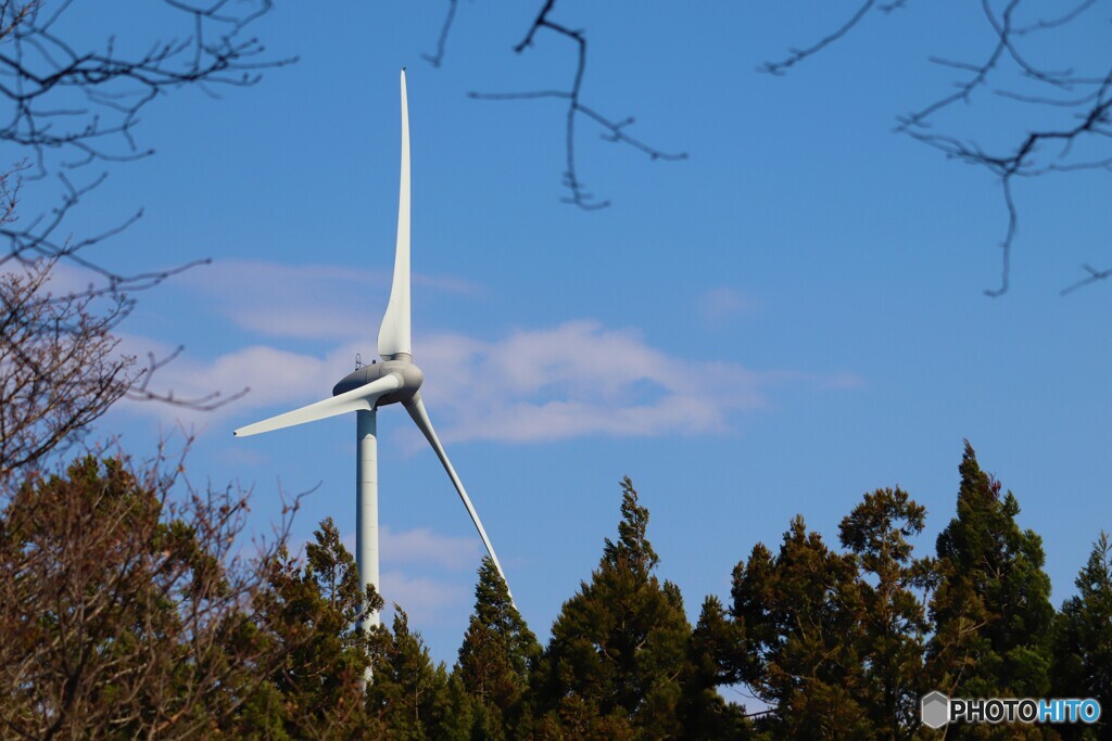 森の中の風力発電