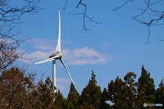 森の中の風力発電