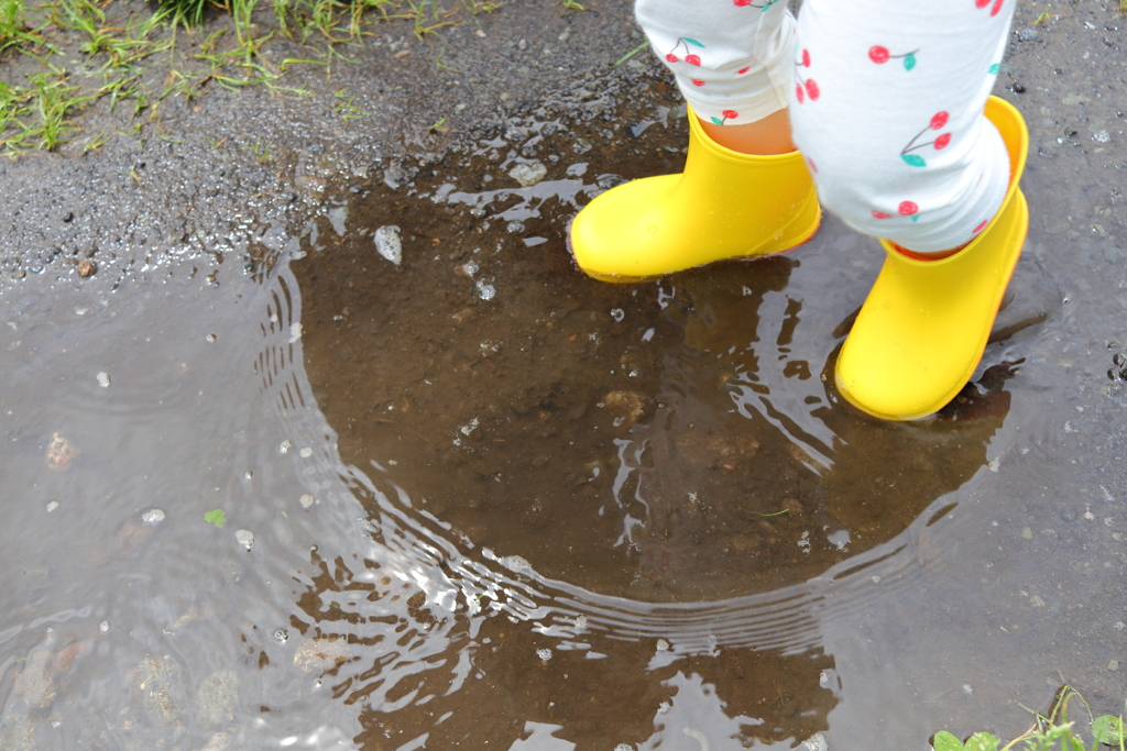初めての水たまり