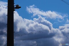 電灯と雲