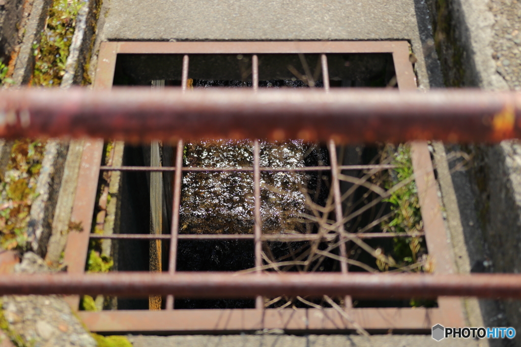 春の用水路