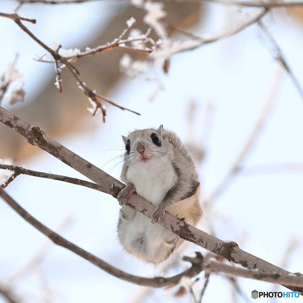 雪景色