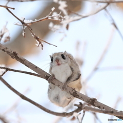 雪景色