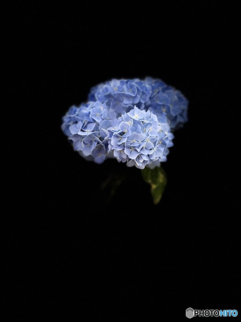 僕の脳みそ