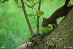 よく働く